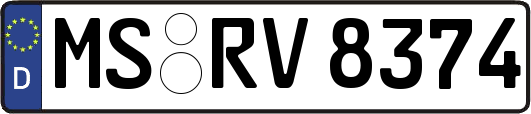 MS-RV8374