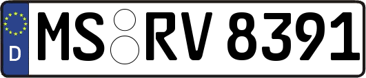 MS-RV8391