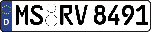 MS-RV8491