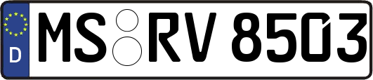 MS-RV8503