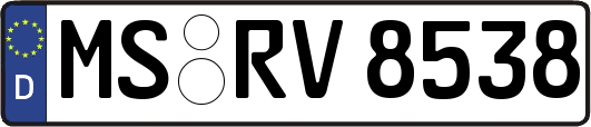 MS-RV8538