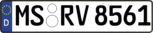 MS-RV8561