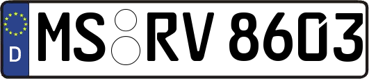 MS-RV8603