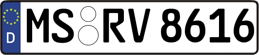 MS-RV8616