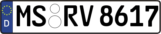 MS-RV8617
