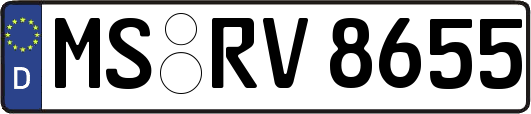 MS-RV8655