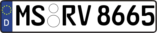 MS-RV8665
