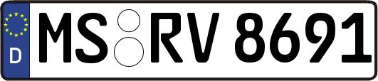 MS-RV8691