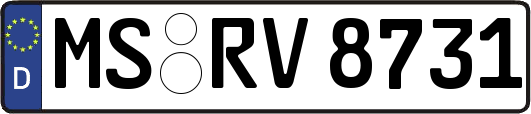 MS-RV8731