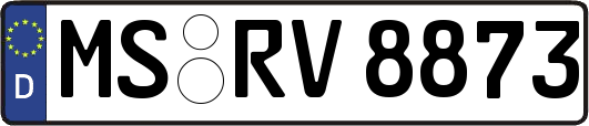 MS-RV8873