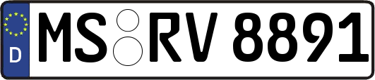 MS-RV8891
