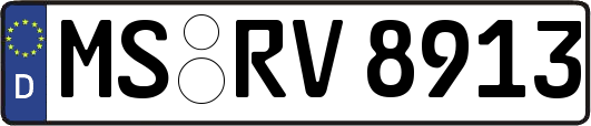 MS-RV8913