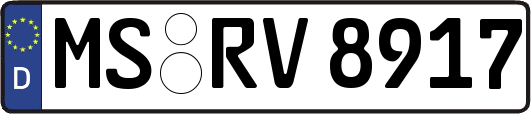 MS-RV8917