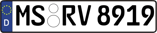 MS-RV8919
