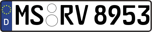 MS-RV8953