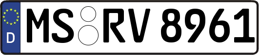 MS-RV8961