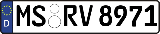 MS-RV8971