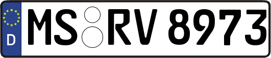 MS-RV8973