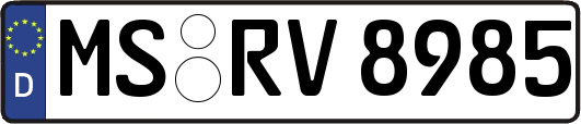 MS-RV8985