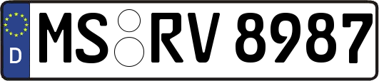 MS-RV8987