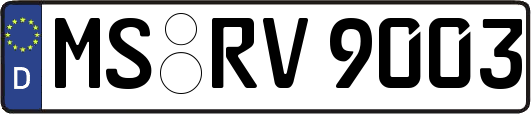 MS-RV9003