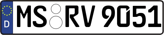 MS-RV9051