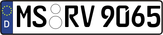 MS-RV9065
