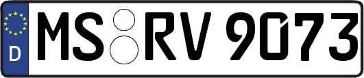 MS-RV9073