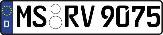 MS-RV9075