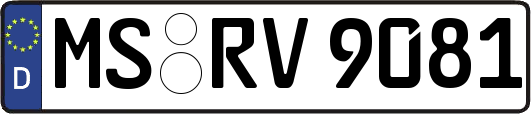 MS-RV9081