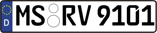 MS-RV9101