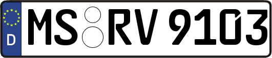 MS-RV9103
