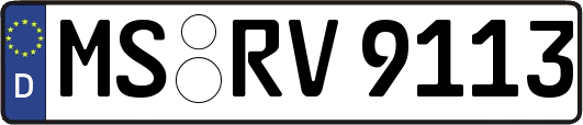 MS-RV9113