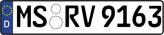 MS-RV9163