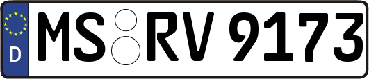 MS-RV9173