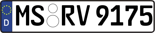 MS-RV9175