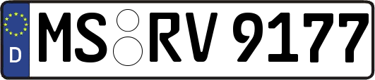 MS-RV9177