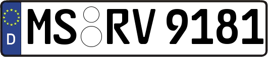 MS-RV9181