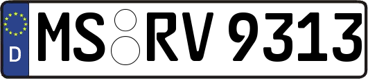 MS-RV9313