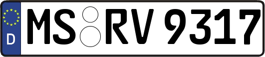 MS-RV9317