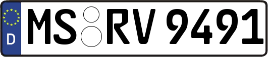 MS-RV9491