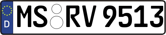 MS-RV9513