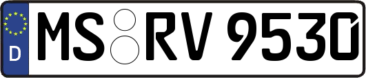 MS-RV9530