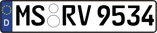 MS-RV9534
