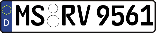MS-RV9561
