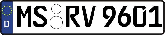 MS-RV9601