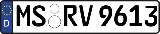 MS-RV9613