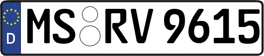 MS-RV9615