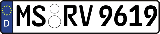 MS-RV9619
