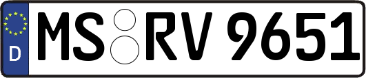 MS-RV9651